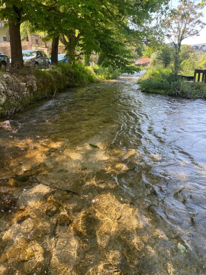 Apartment River *